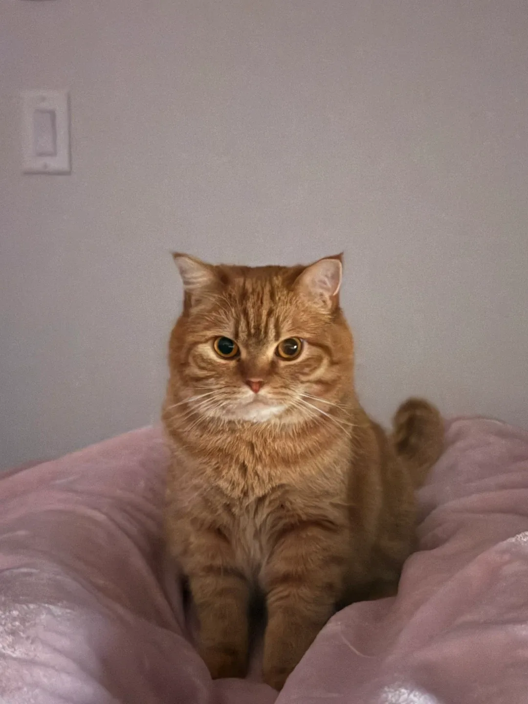 Nurin Izzati profile