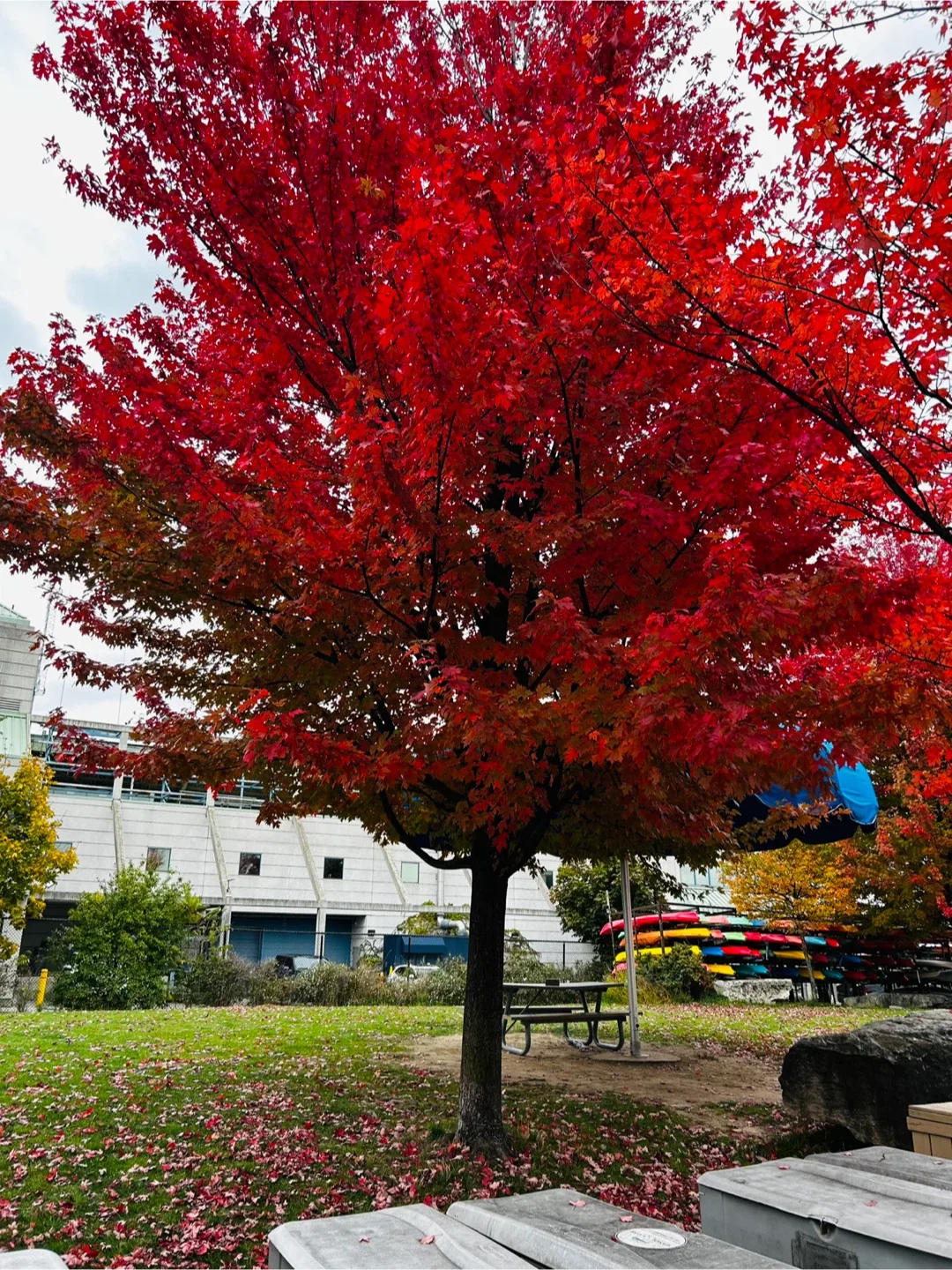 Nurul Alam Ujjal profile