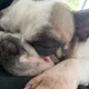 Maddy profile