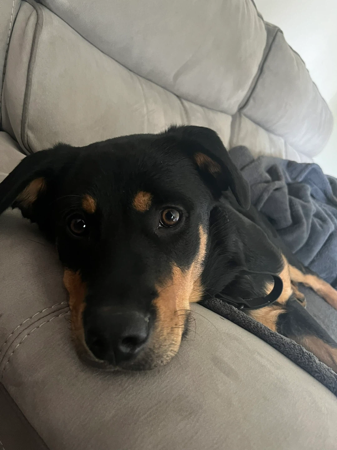 Sita profile