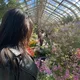 Nimue profile