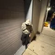 SHvYvN profile