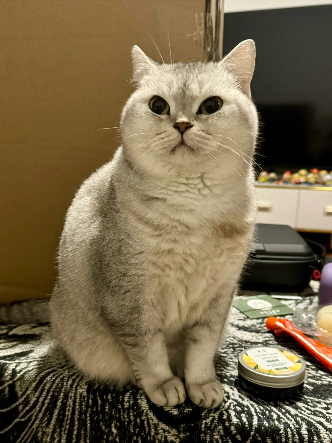 Kay