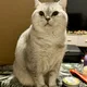 Kay profile