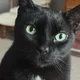 Bryan profile