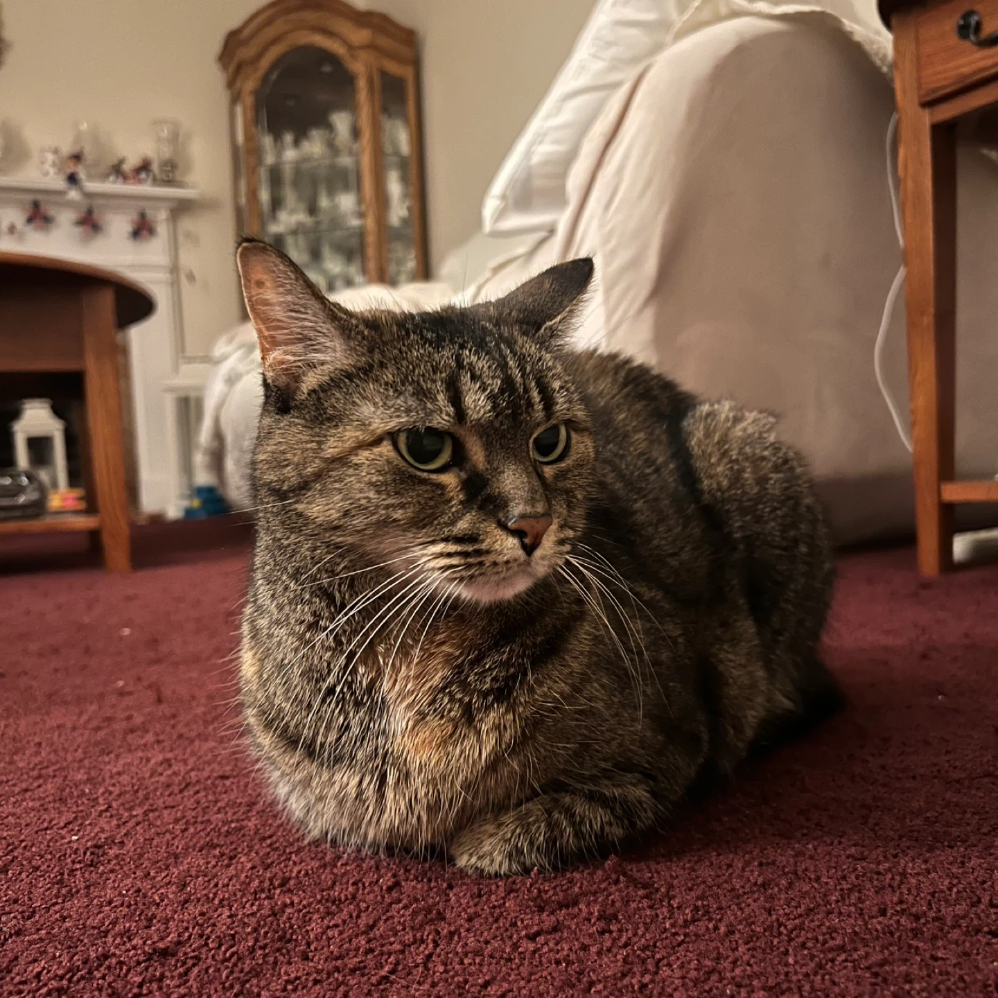 Ellie profile