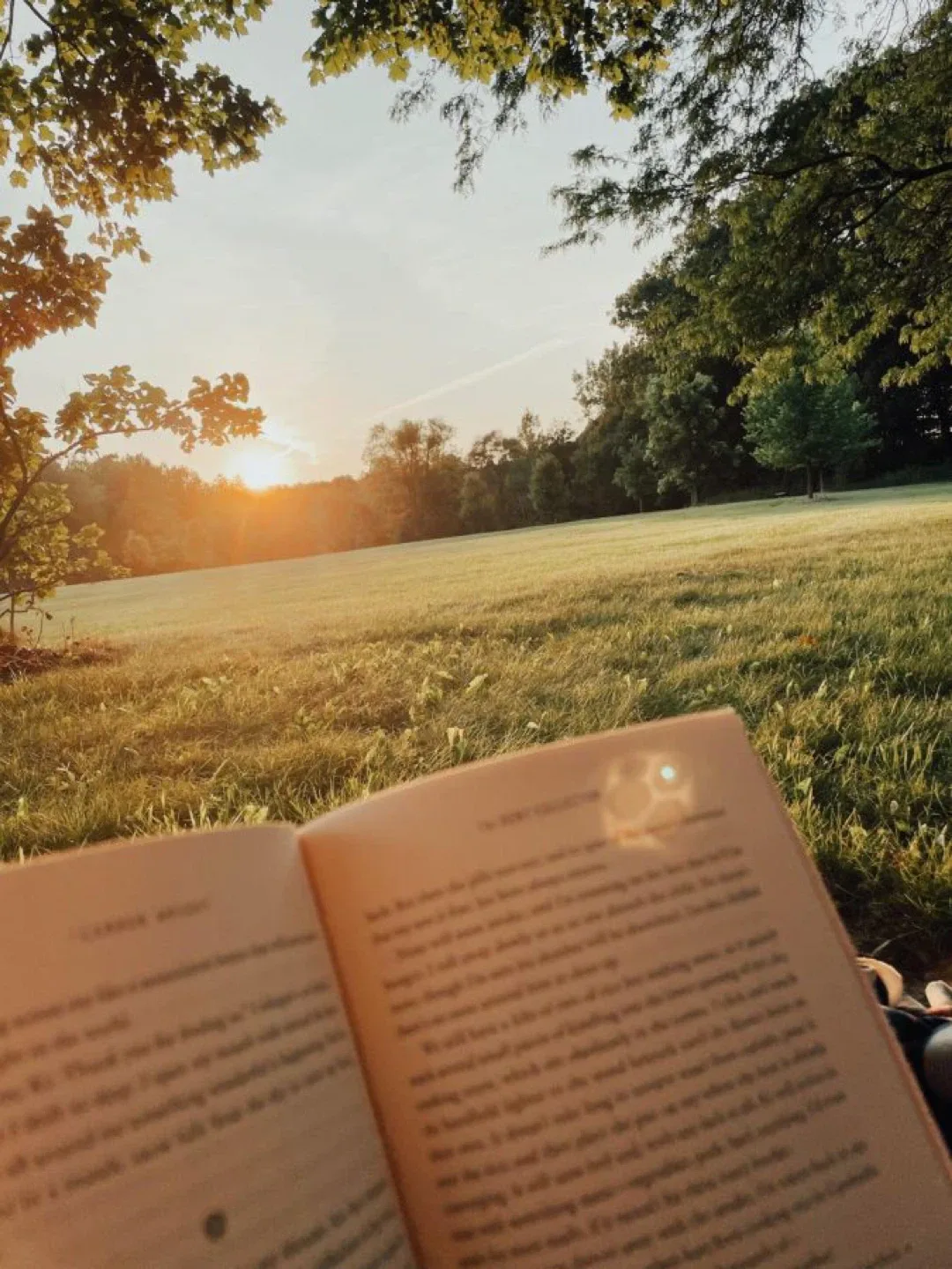 Charles stone profile