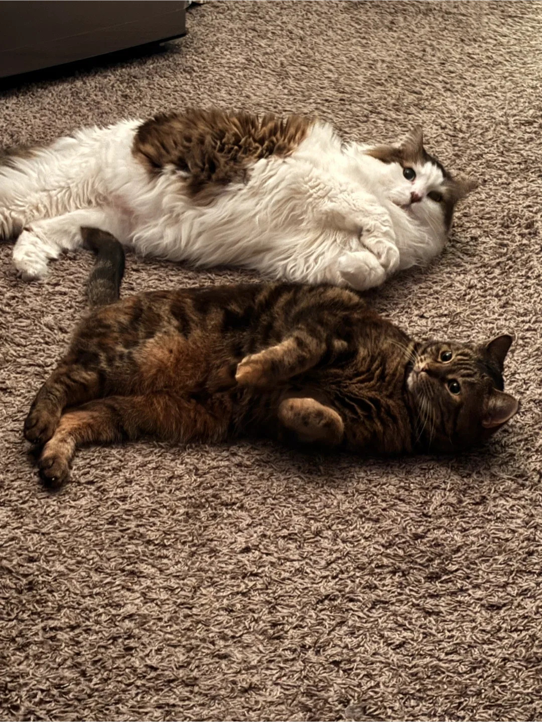 Riley Miller profile