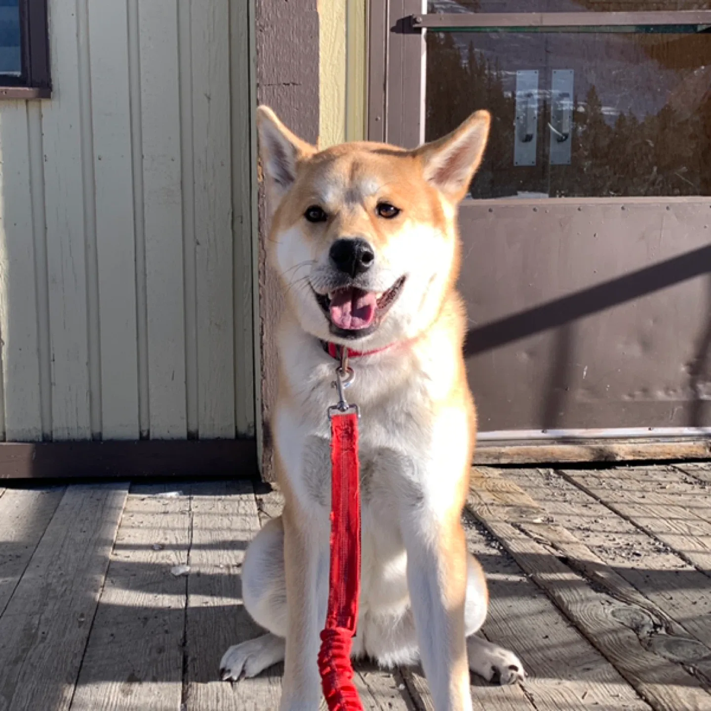 Andrea Ramirez profile