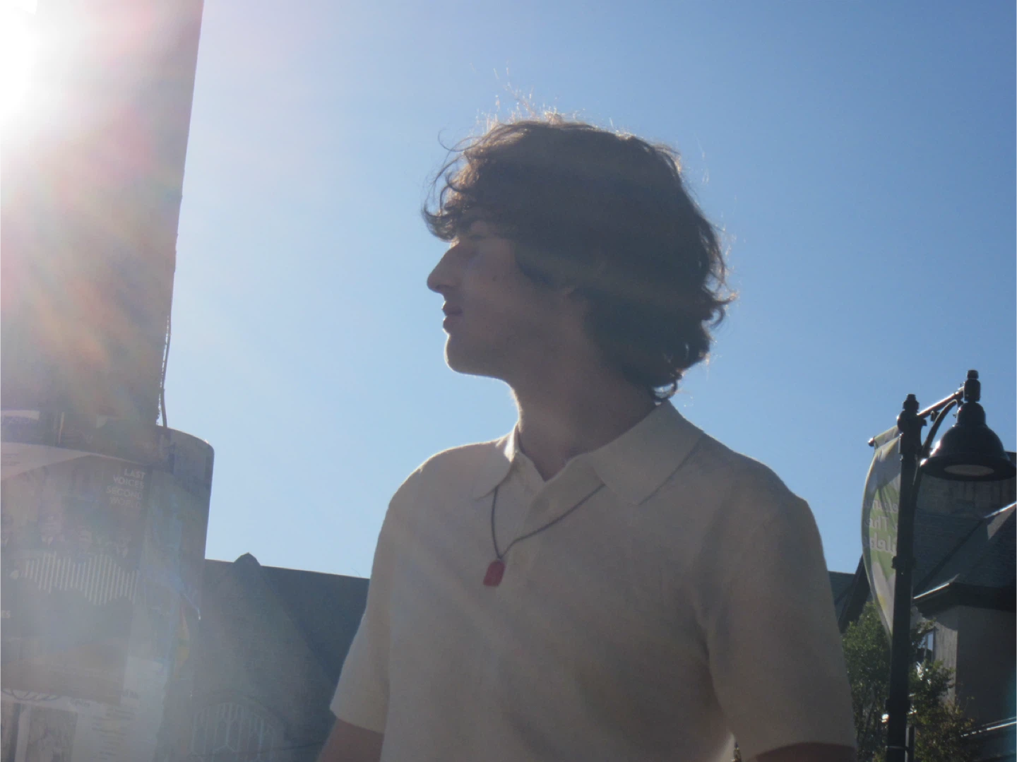 Dylan profile
