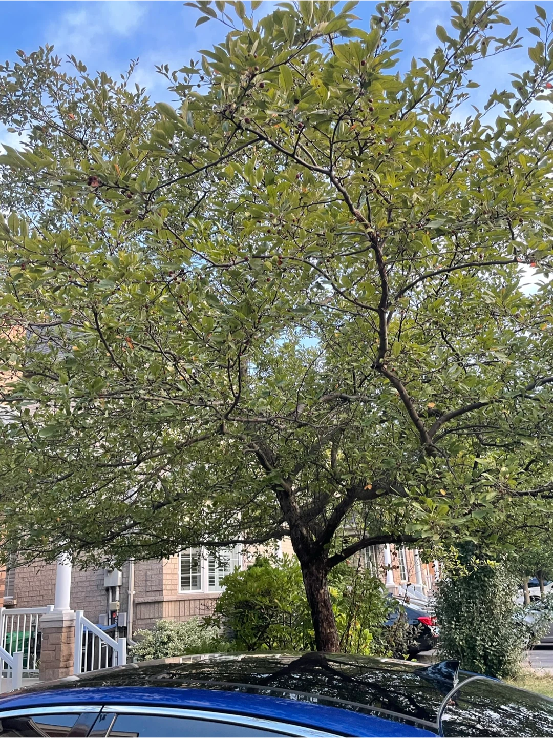 Mariam shaker profile