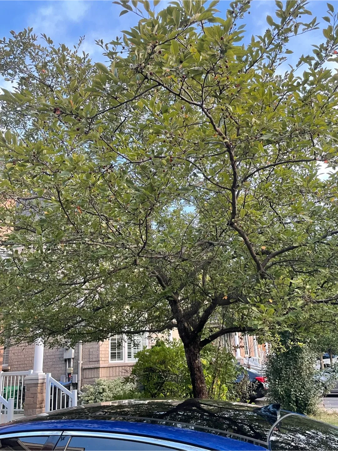 Mariam shaker profile