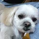 victoria profile
