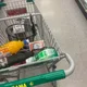 Guido profile