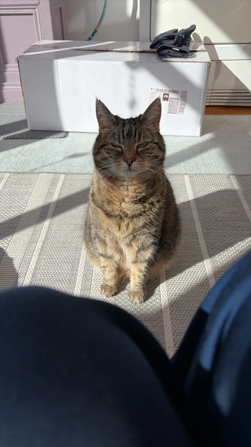 Grainne B Wallace profile