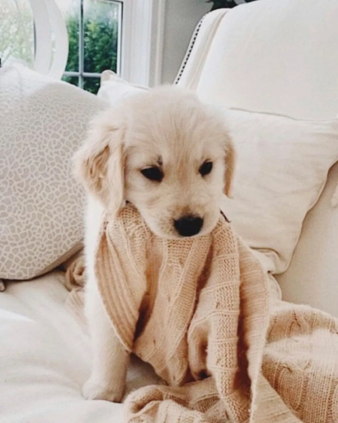 Emmanuel Lee profile