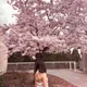 Sofia profile