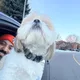 Phil profile