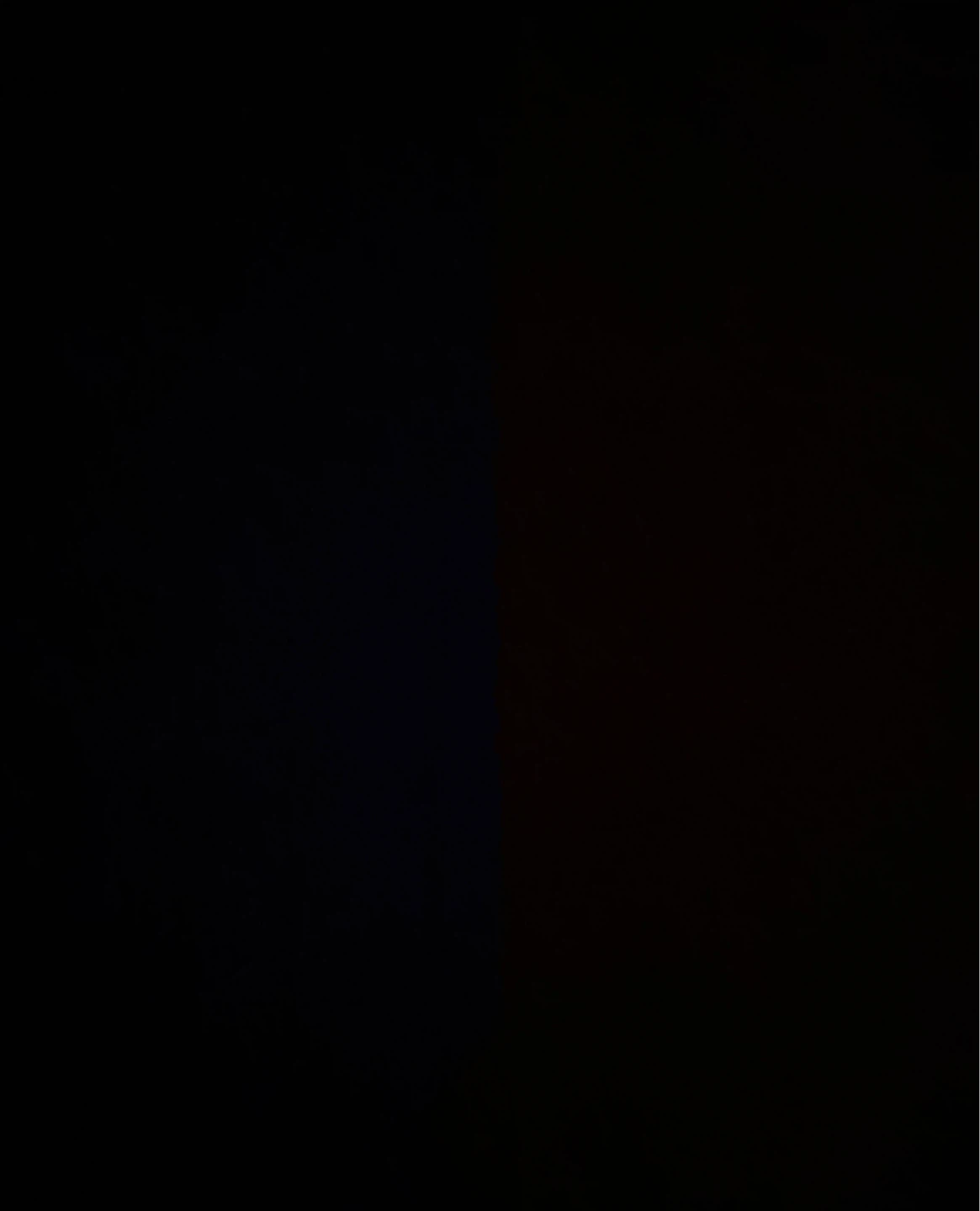 Yafet profile