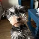 Frankie profile