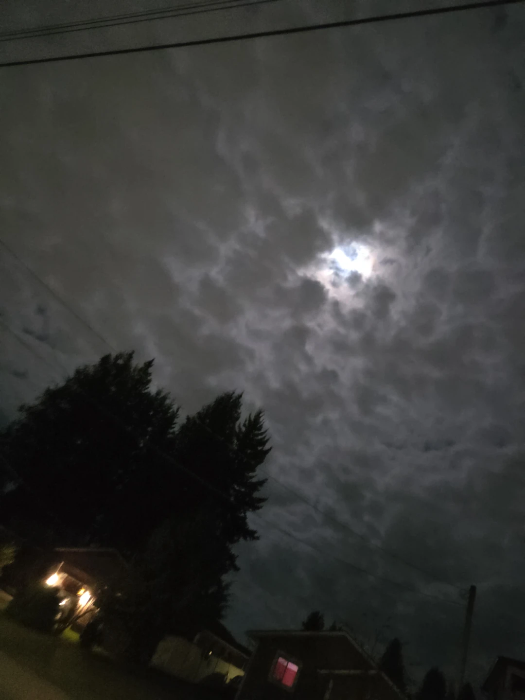 Noahs kloset profile