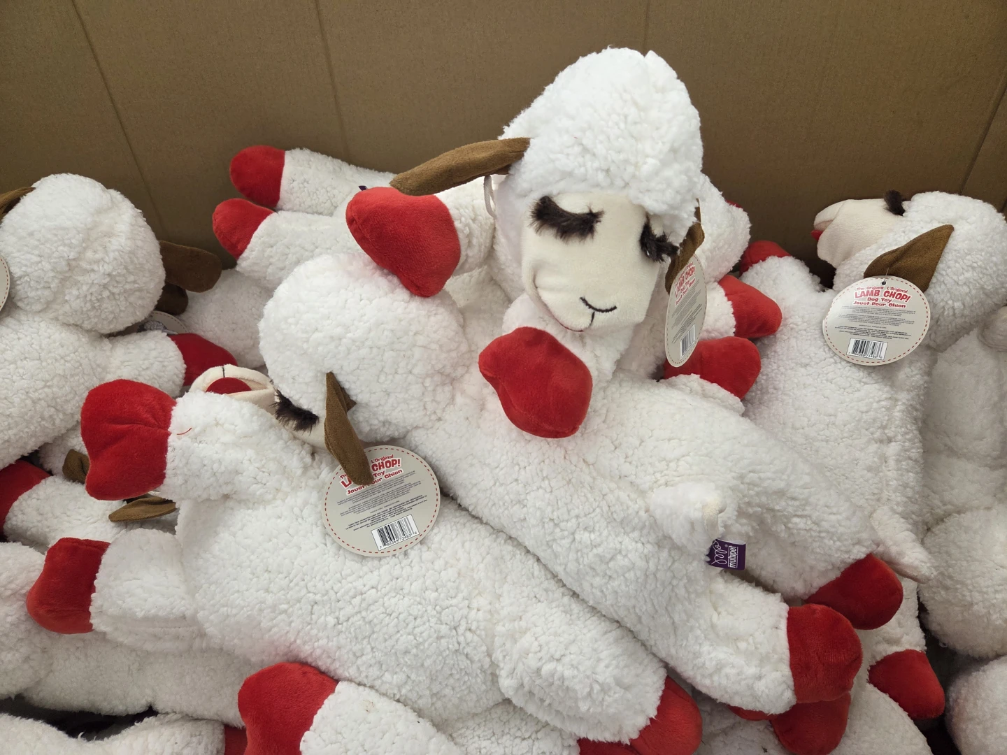 beauty advisor profile