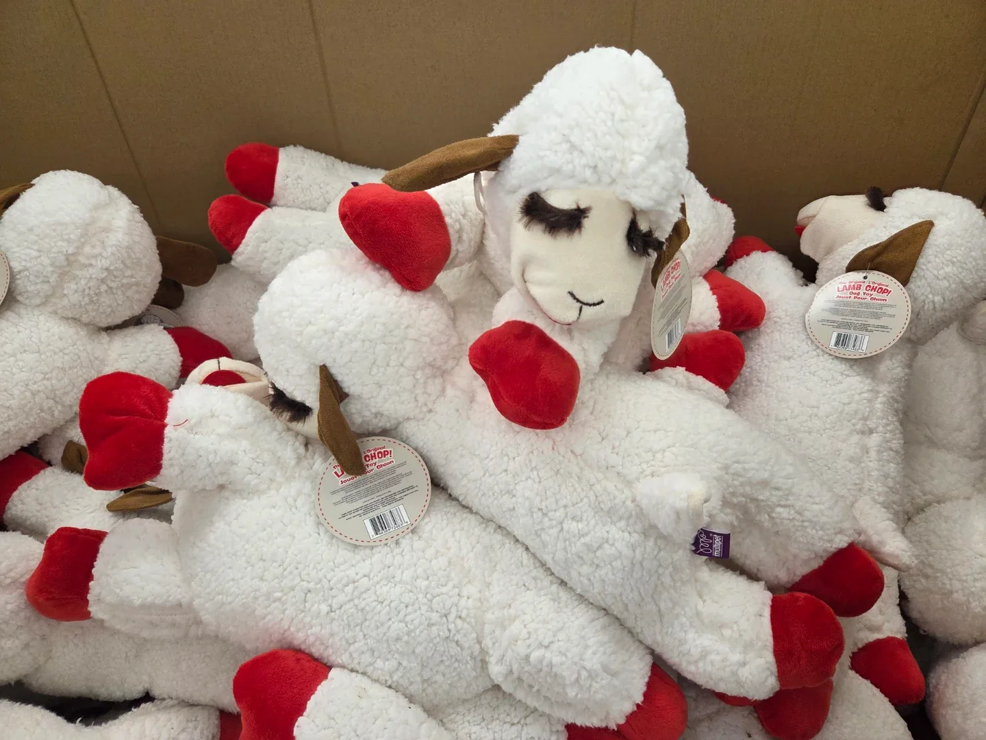 beauty advisor profile