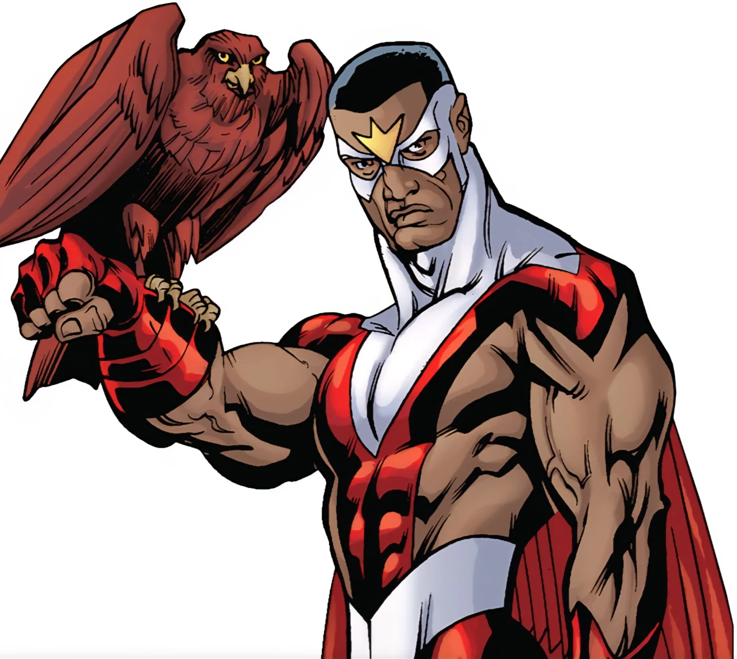 Falcon profile