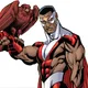 Falcon profile