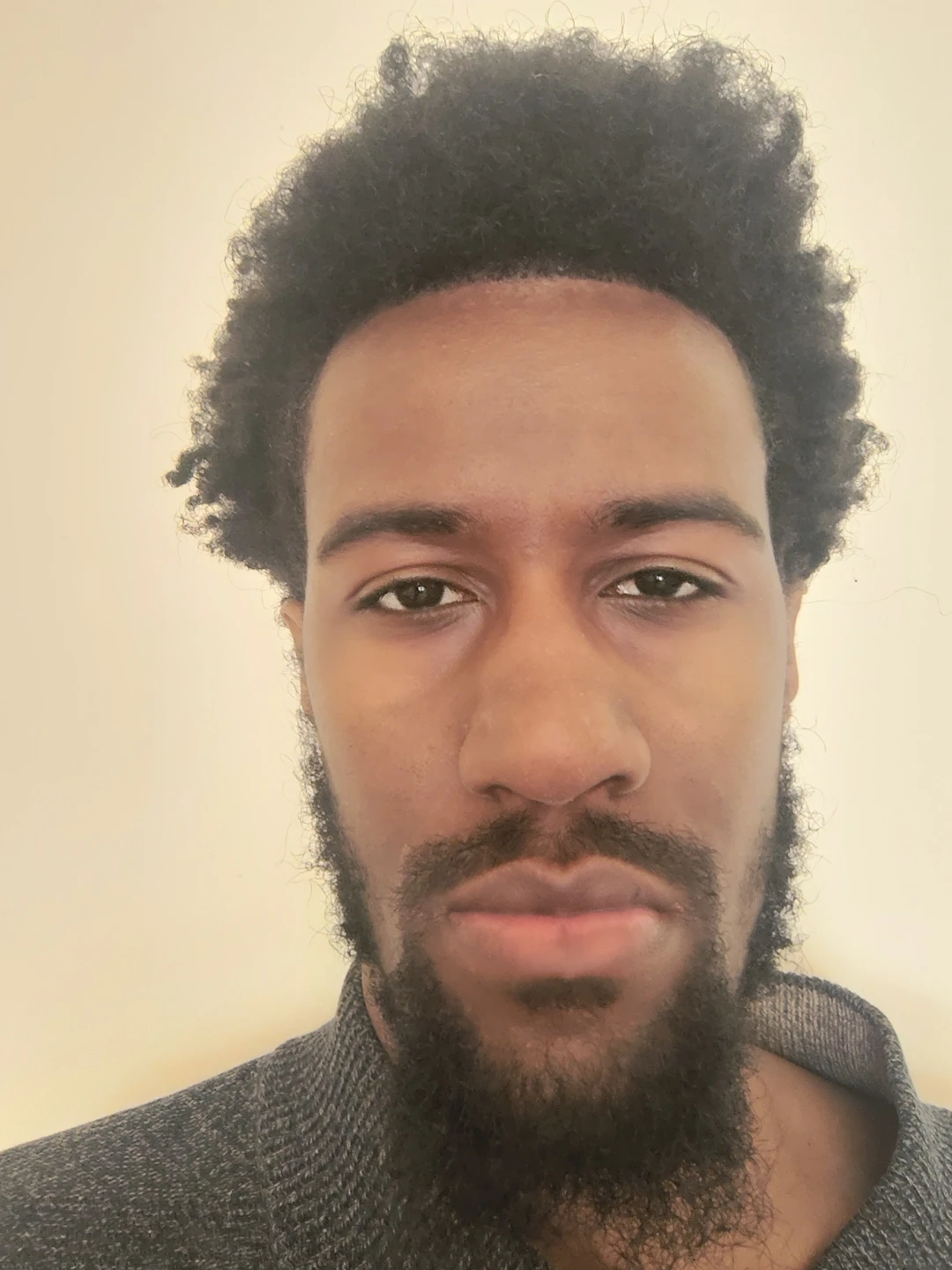Dimitrius profile
