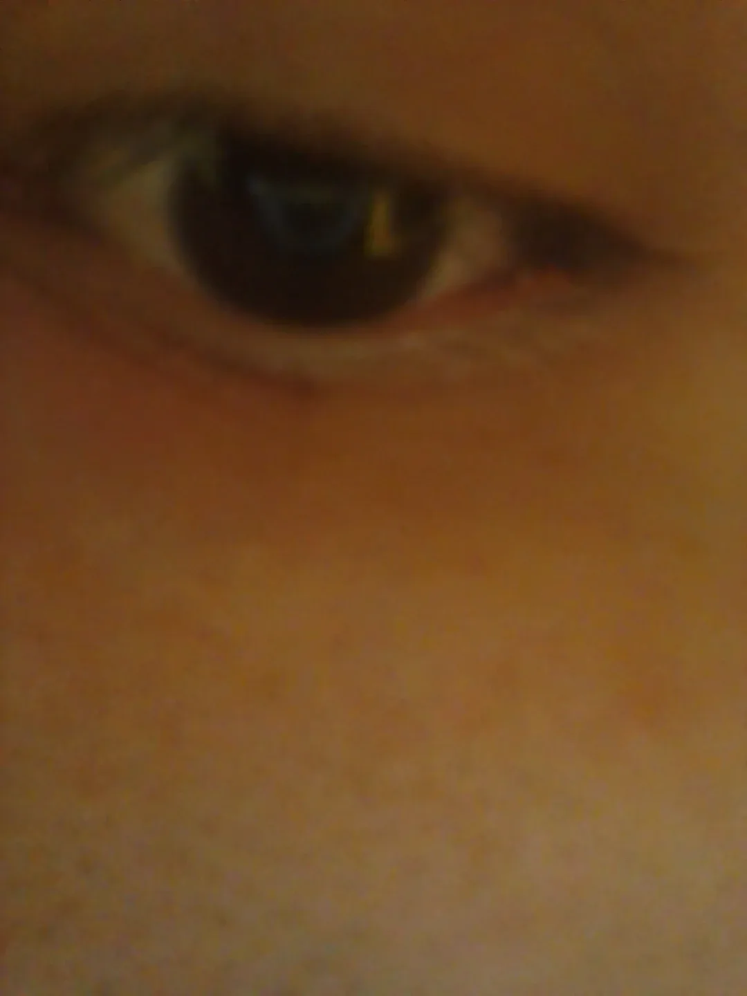 Brandon Gonzalez profile