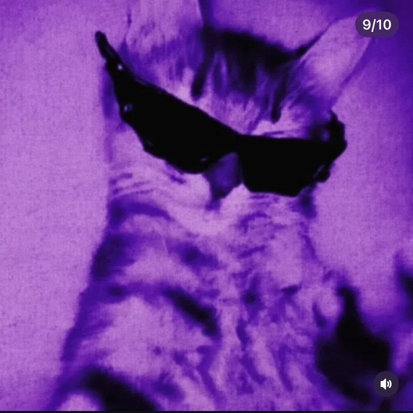 sukmeetkhalsa profile