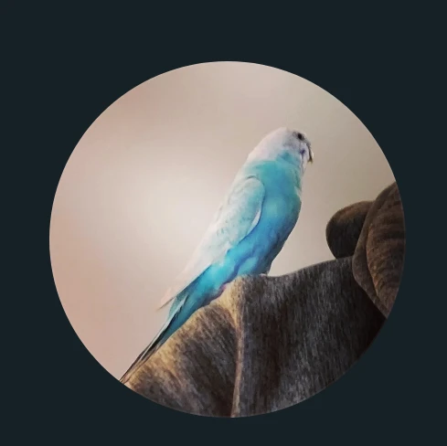 Quality Products profile