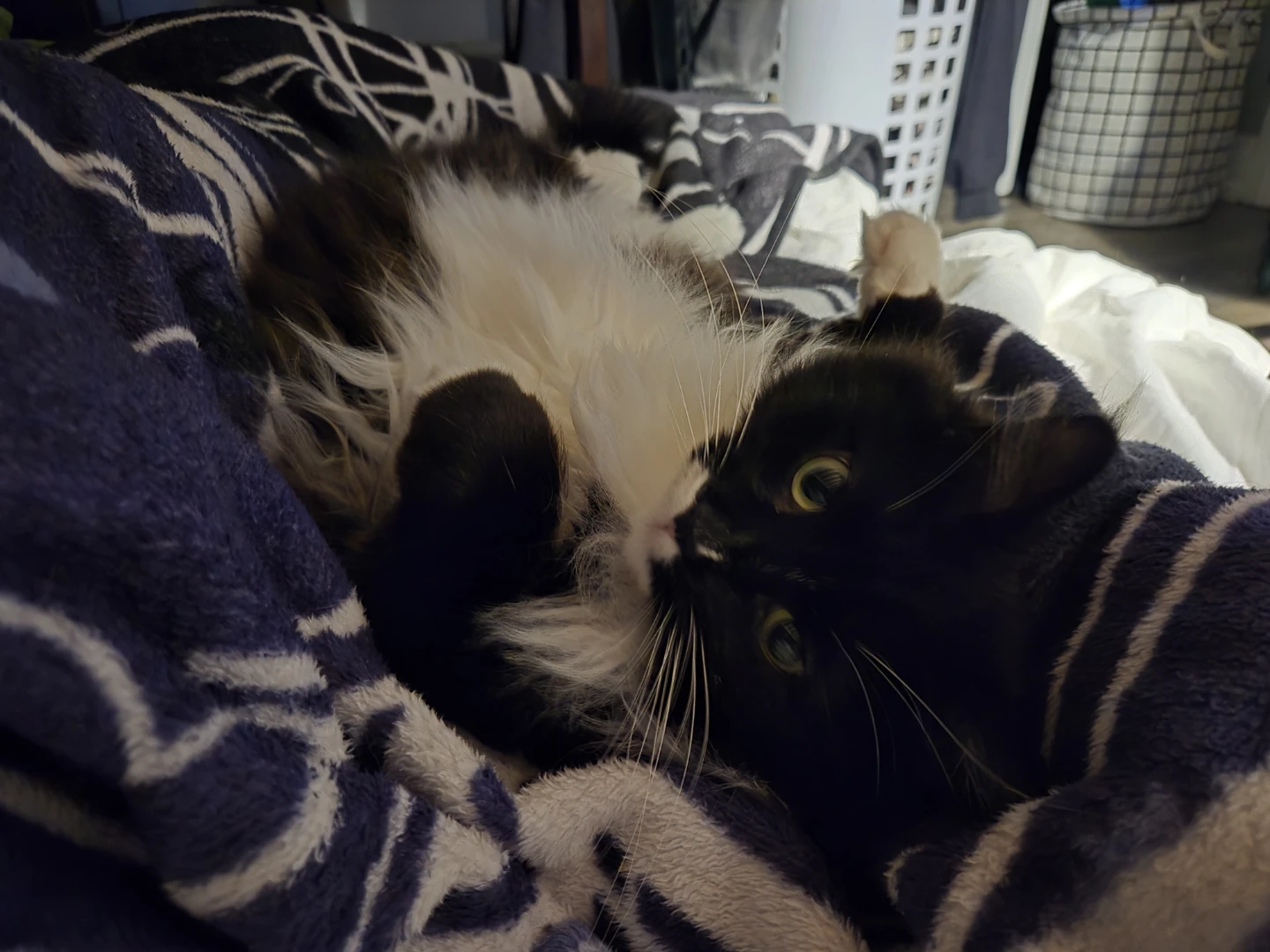 Elliot profile