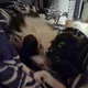 Elliot profile