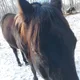 Aidan profile