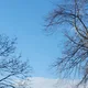 Felib profile