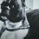 Krizzyboy profile