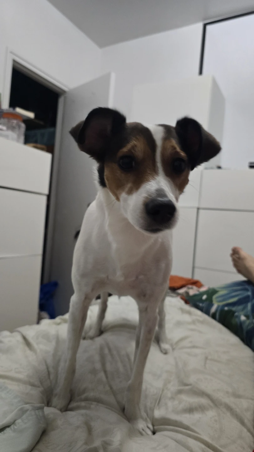 Tony profile