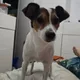 Tony profile