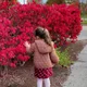 Fari profile