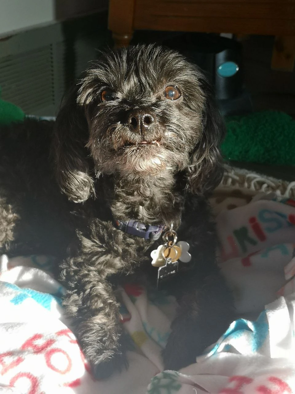 Mia profile