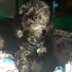 Mia profile
