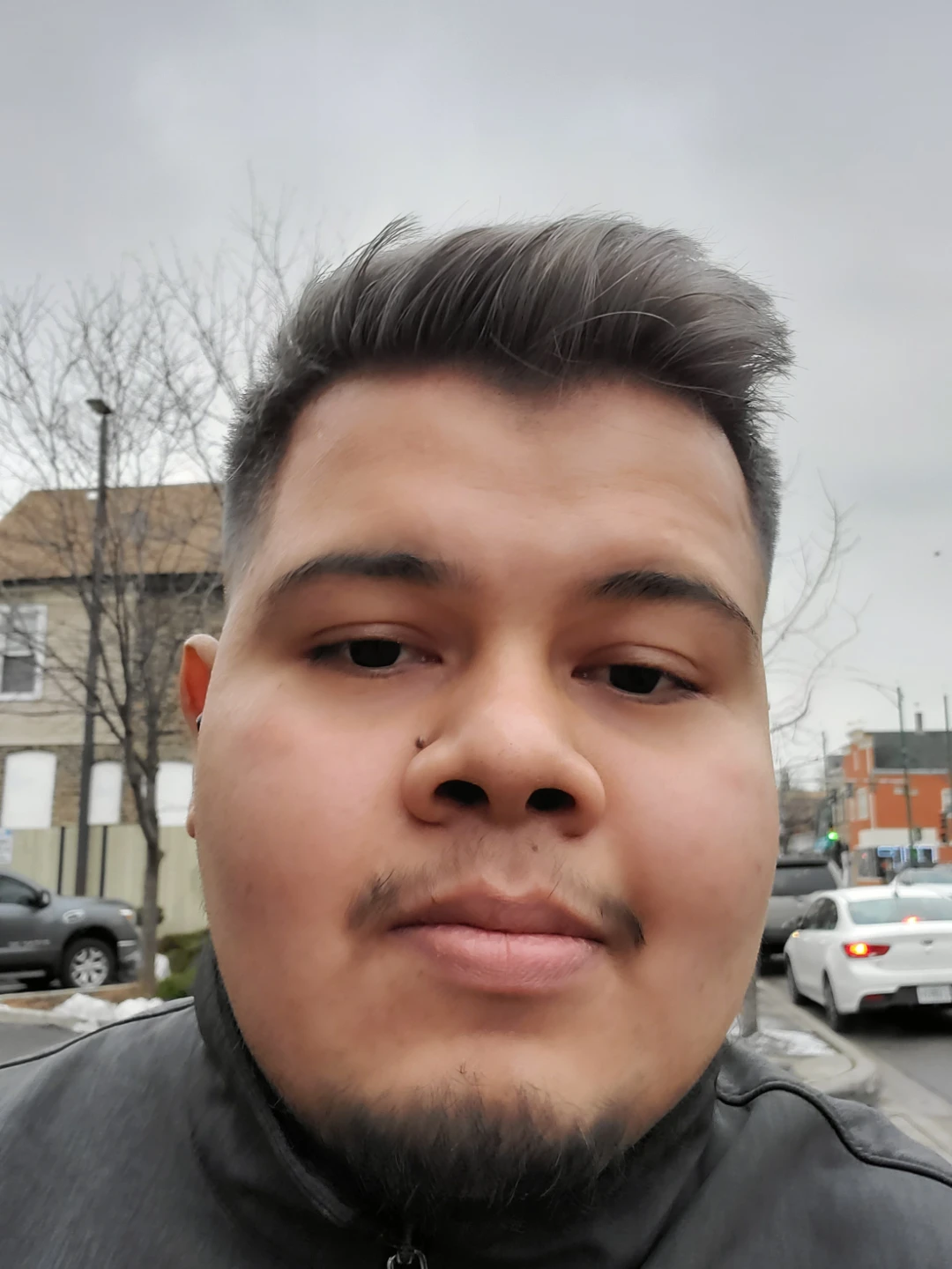 albert profile