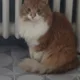 Zee profile