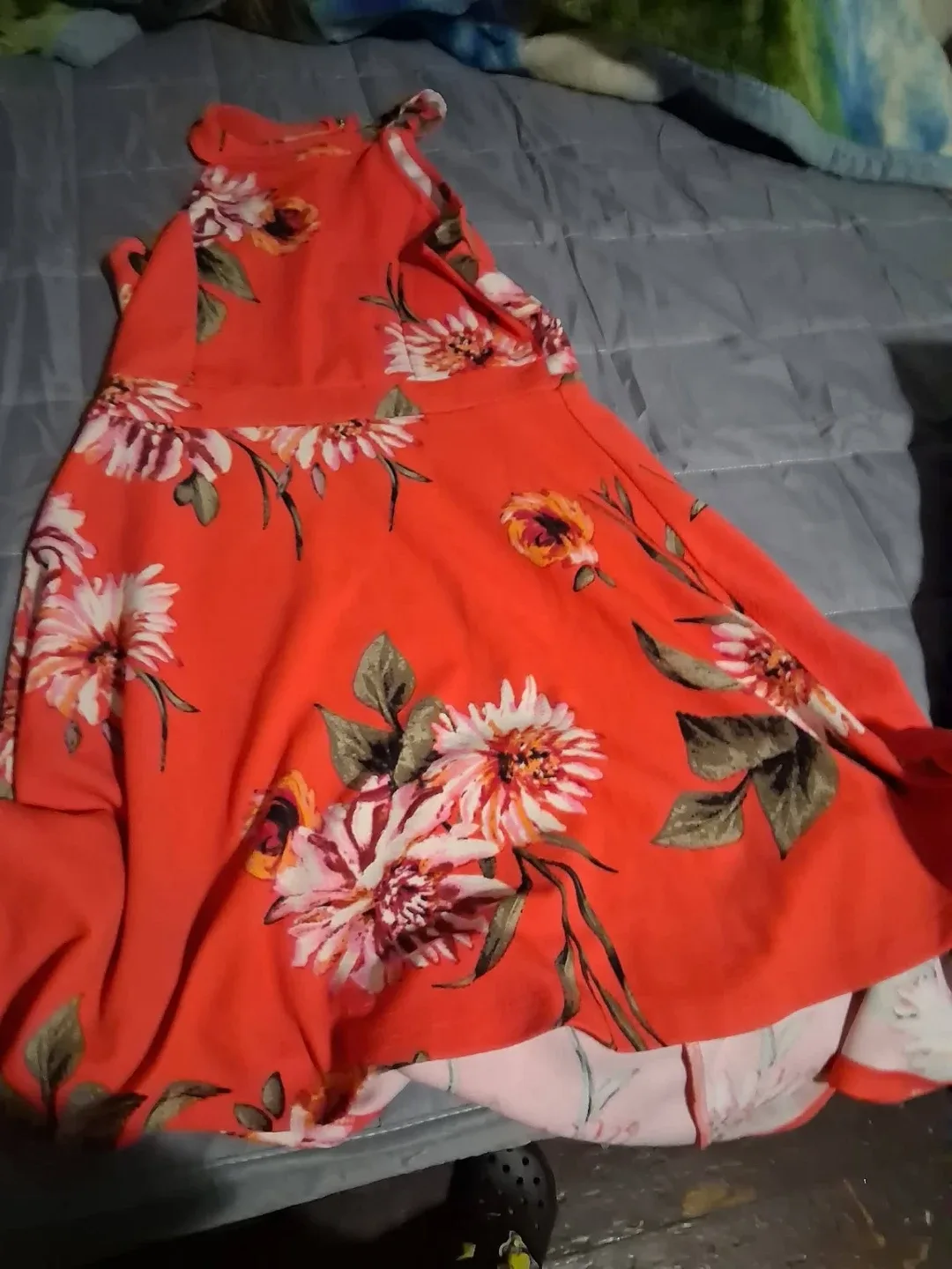 olga Vicente profile