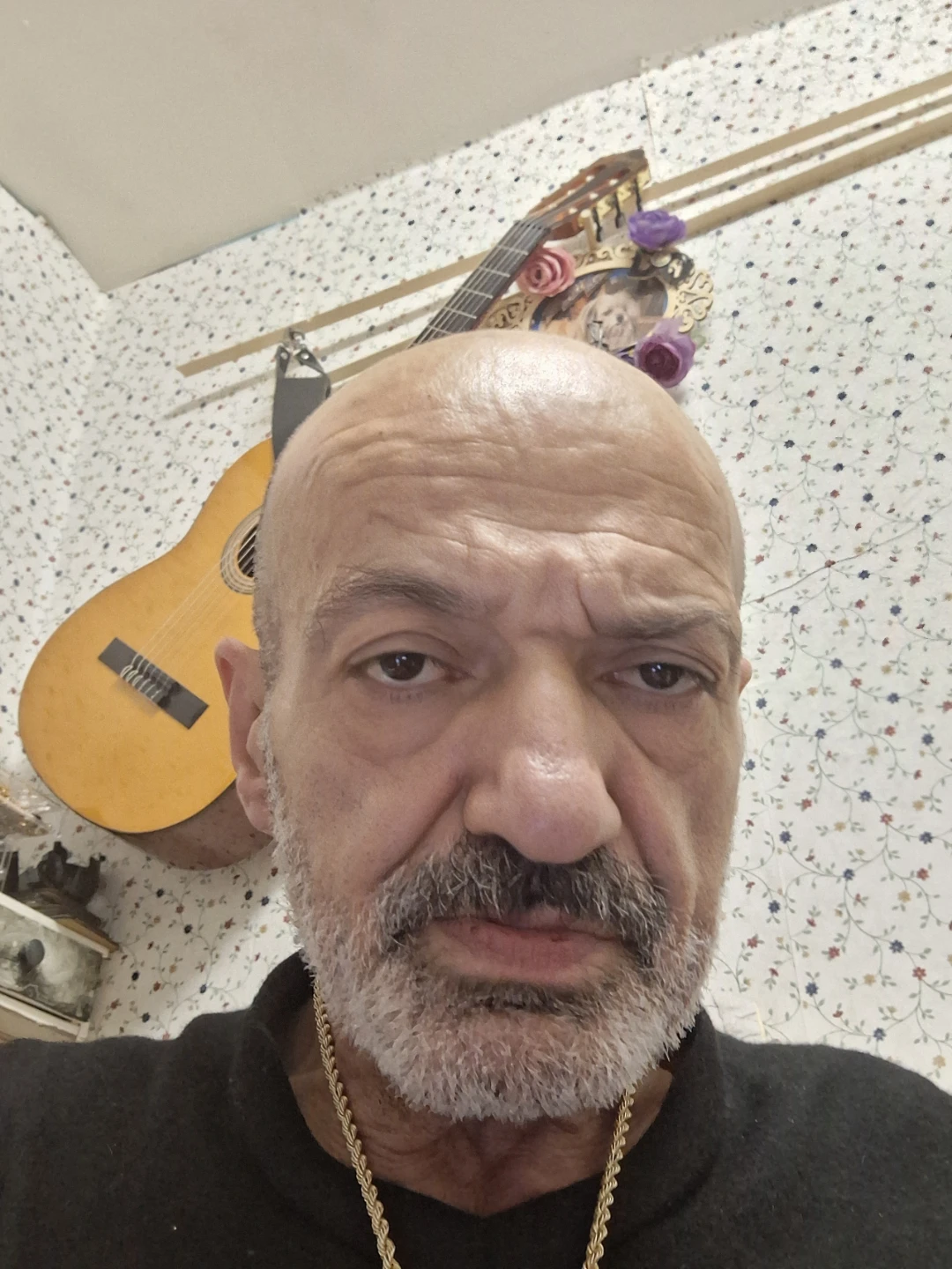 siavosh profile