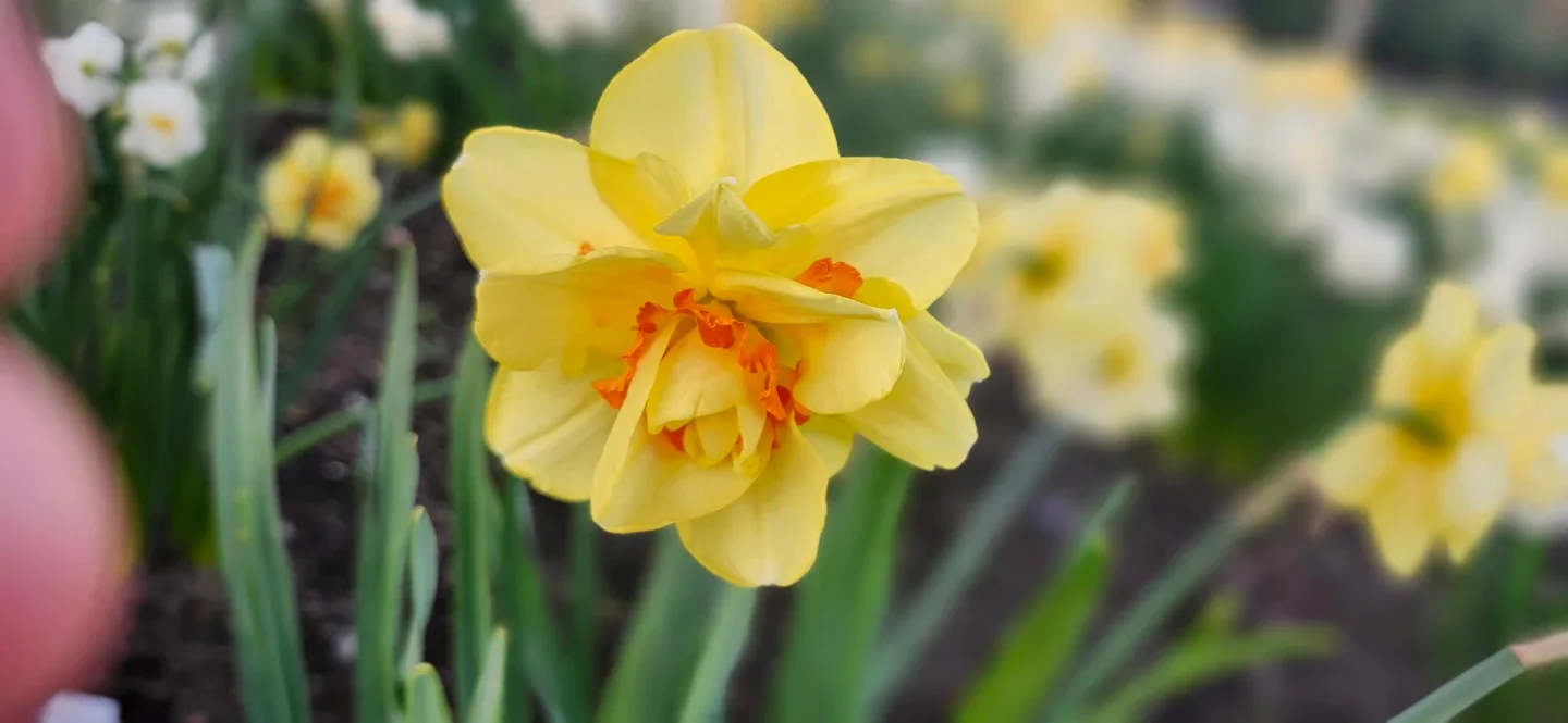 mhye venasquez profile