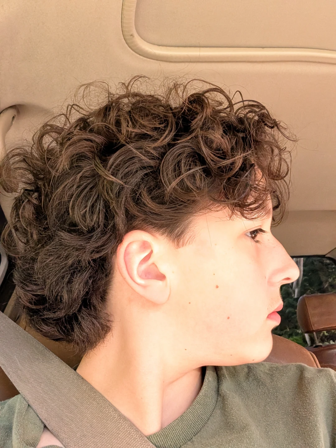 Angus Johnson profile