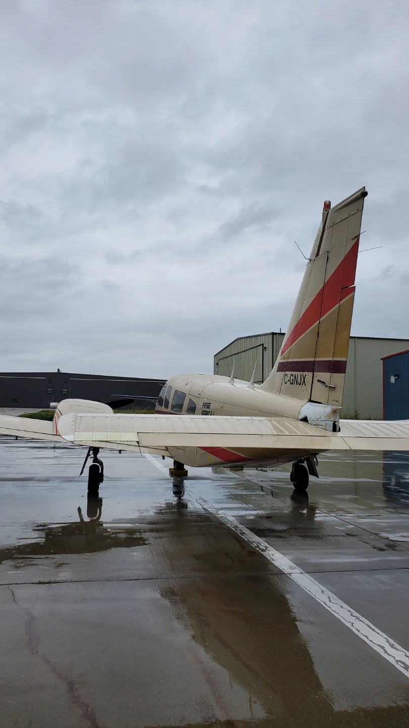 Sofia profile